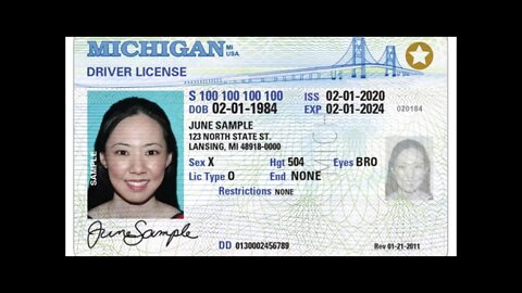 Nonbinary Michigan
