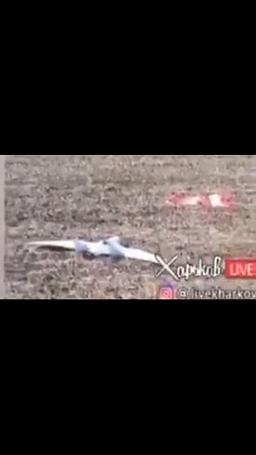 Triumphant Ukrop Hero Shot Down Major Drone - Then Realizes Its a Ukrainian One 😂😂😂