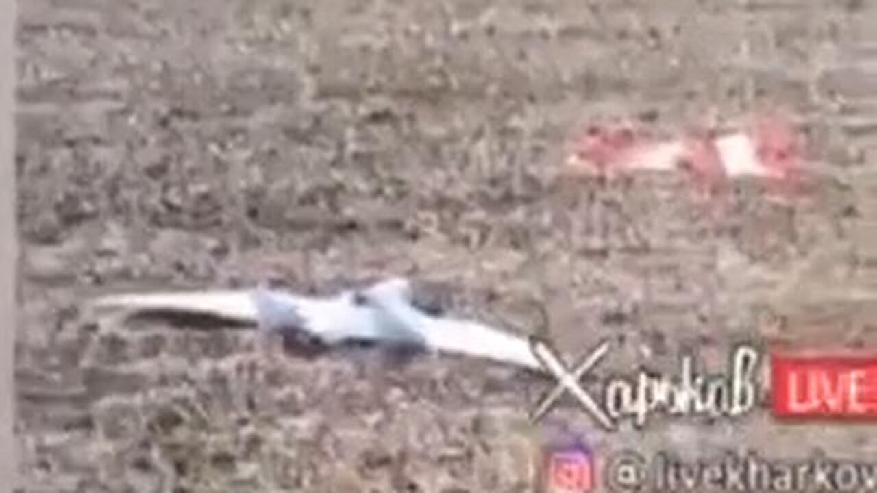 Triumphant Ukrop Hero Shot Down Major Drone - Then Realizes Its a Ukrainian One 😂😂😂