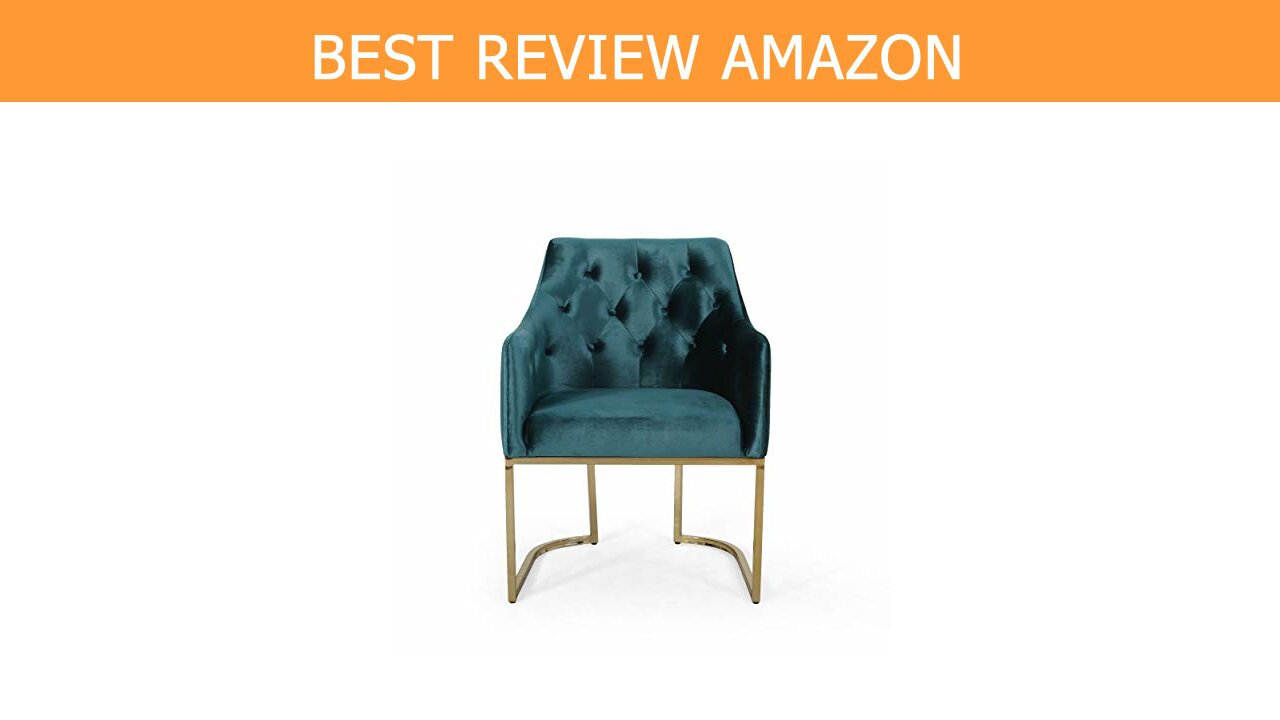 Christopher Knight Home 308960 Cushions Review