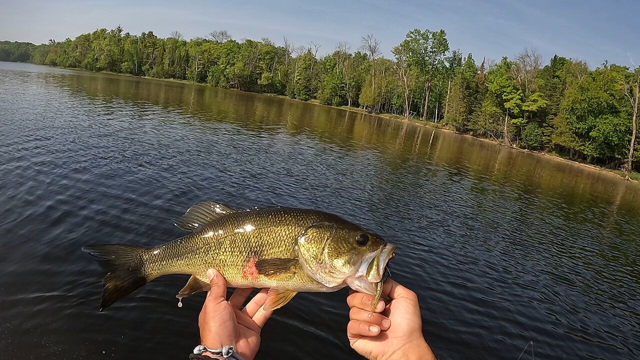 Upper Peninsula: Chatterbait Bucketmouth