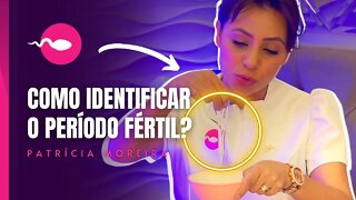 COMO IDENTIFICAR O PERÍODO FÉRTIL? | Patrícia Moreira