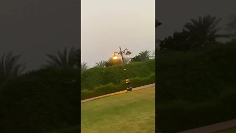 #shortvideo #short #subscribe
