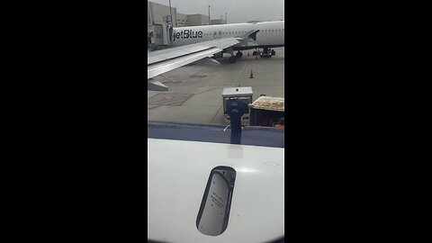 Unloading the luggage’s from the plane cargo