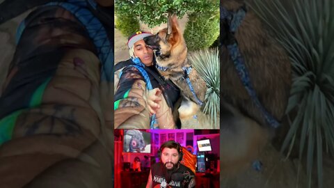 Karen throws puppy at Rappers' face