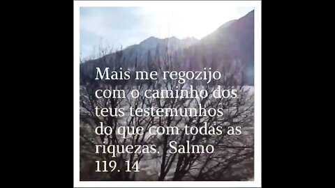 VERSÍCULO DO DIA 20/07/2022.#shorts