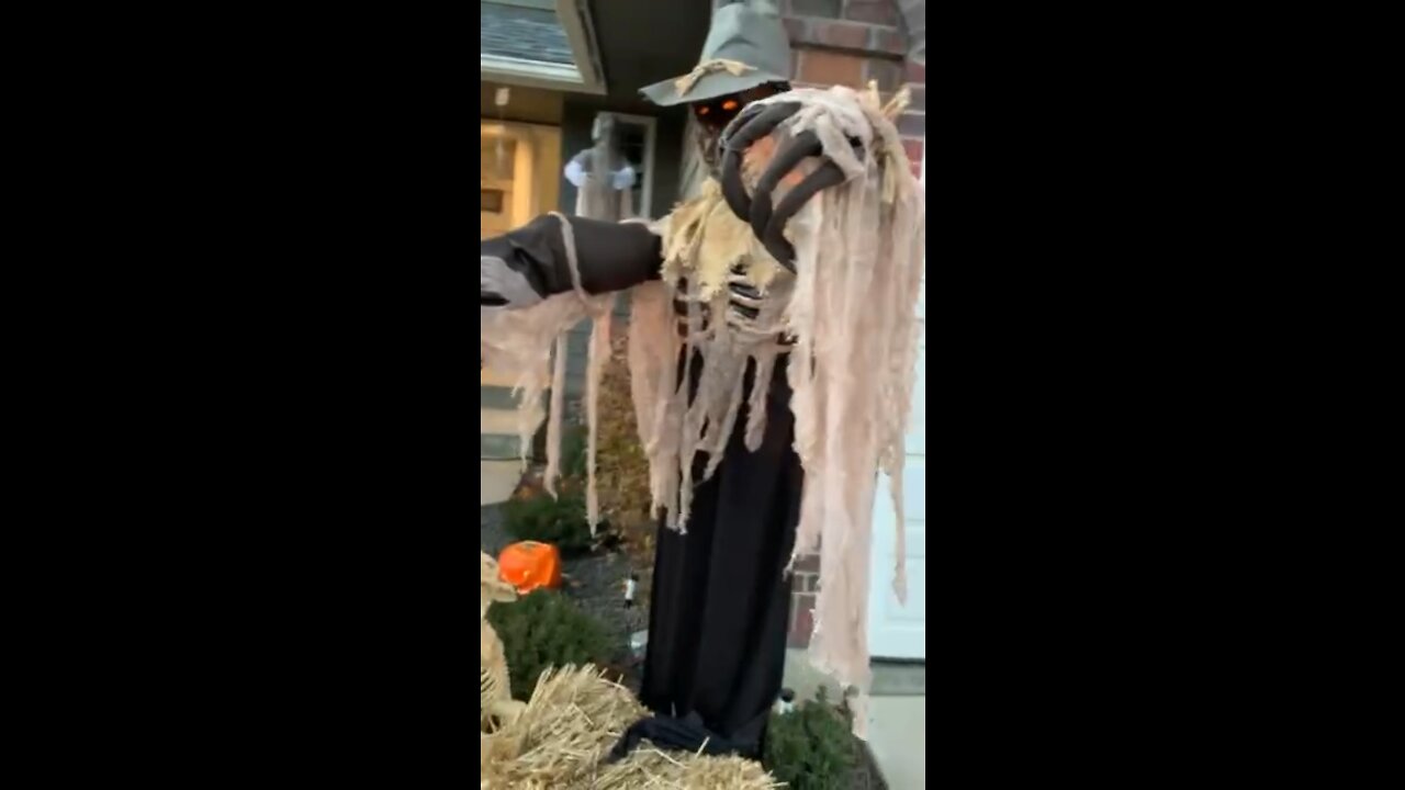 Halloween … scarecrow