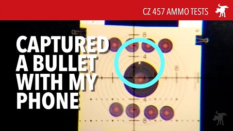 Can you see a .22 in flight?