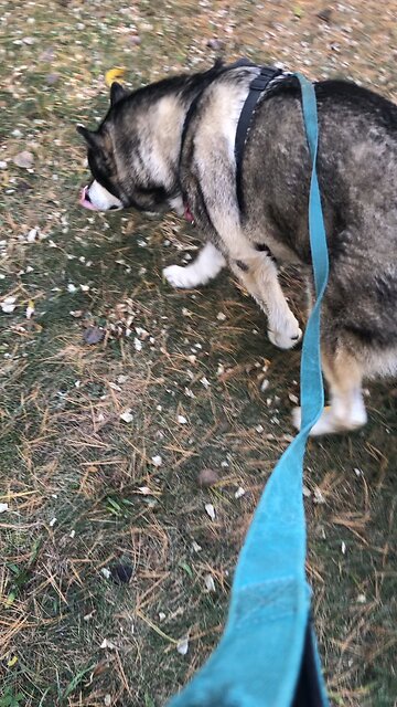 Tuesday Oct 8, Humble yourself under the mighty power of God.