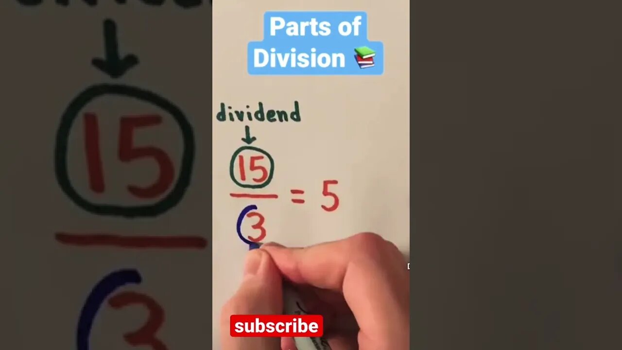 parts of division (division anatomy)