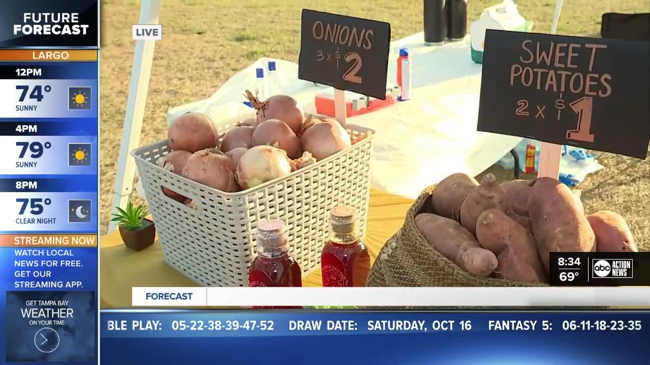 Hispanic Heritage Farmers Market