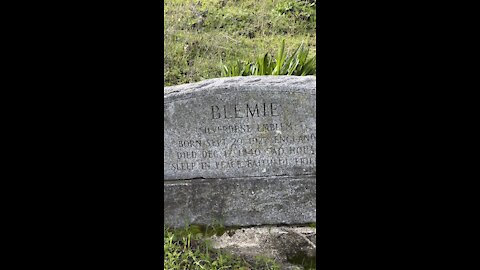 Blemie (Dalmatian) Grave