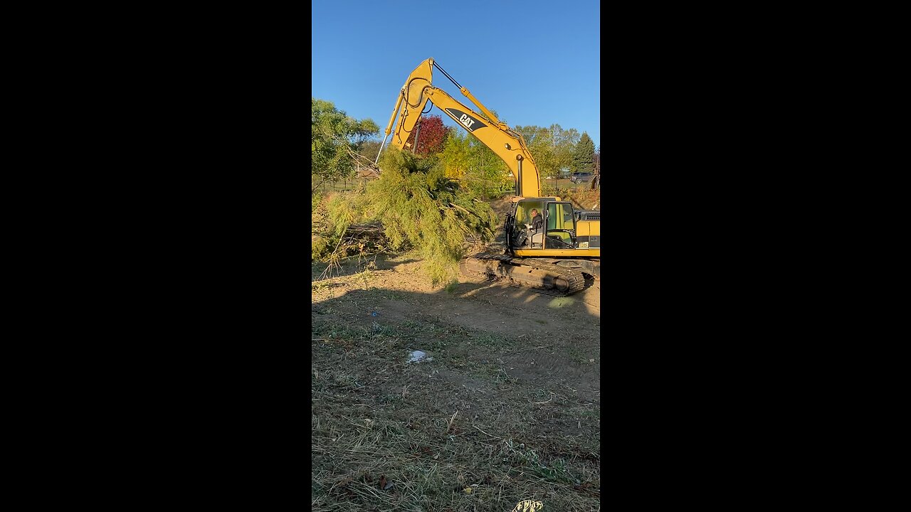 Tree removal heavy machinery