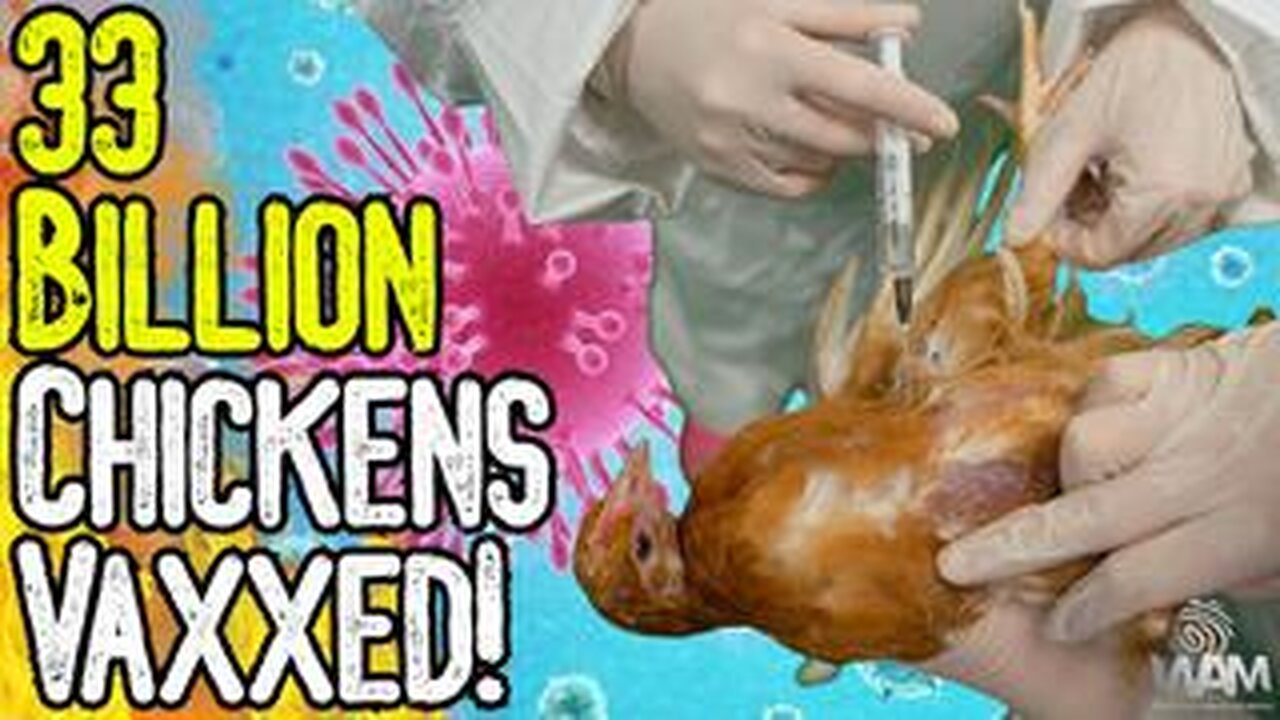 BIRD FLU HOAX: 33 BILLION CHICKENS VAXXED! - Avoid The Pharma Poisoned Food Supply!