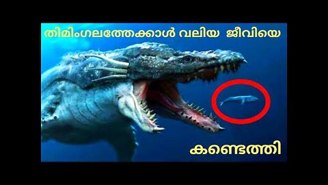 10 BIGGEST SEA MONSTERS EVER in MALAYALAM