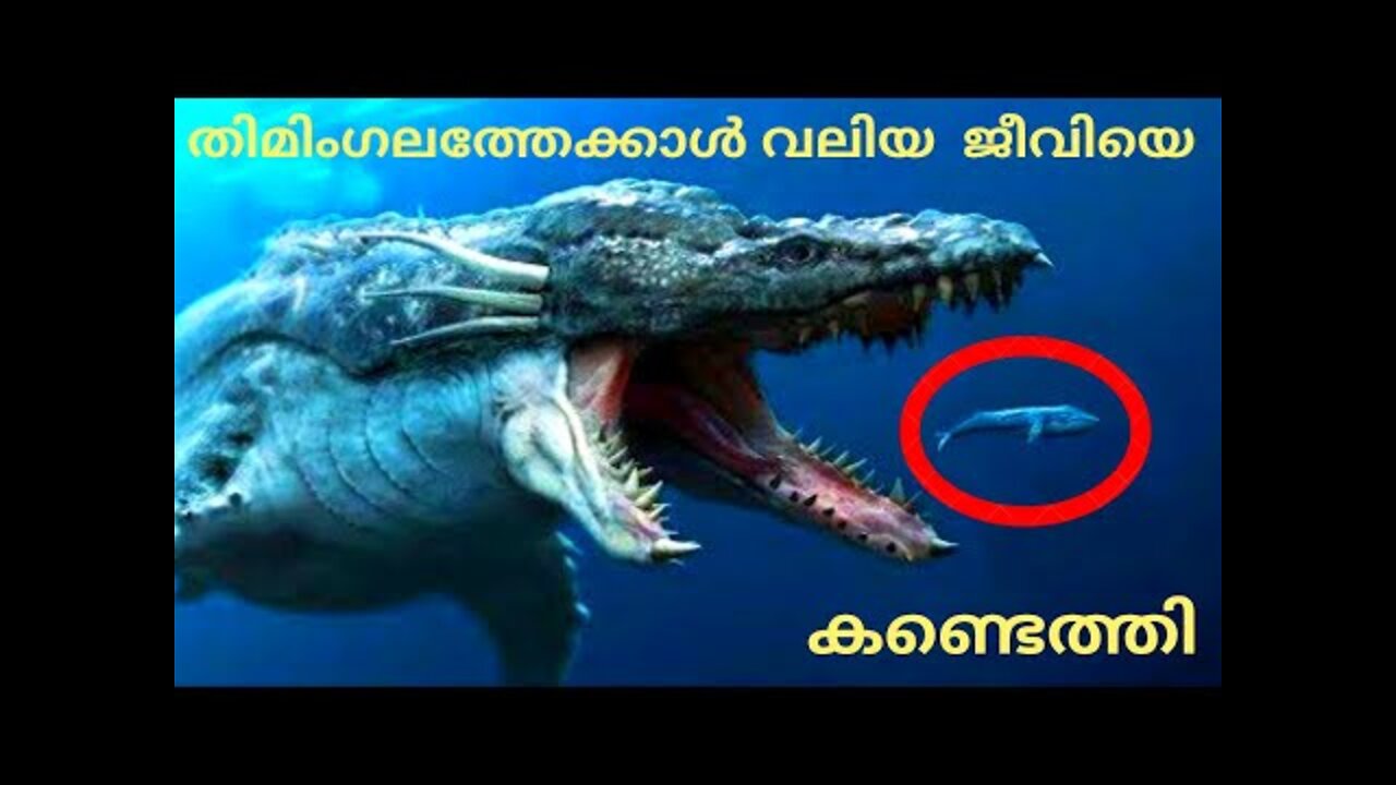 10 BIGGEST SEA MONSTERS EVER in MALAYALAM