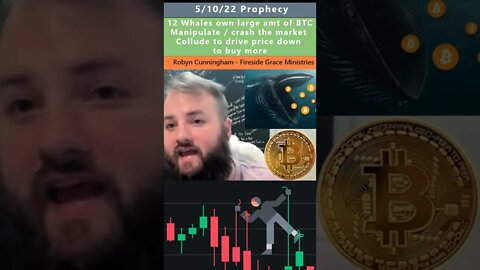 Bitcoin price manipulation prophecy - Robyn/Cunningham 5/10/22