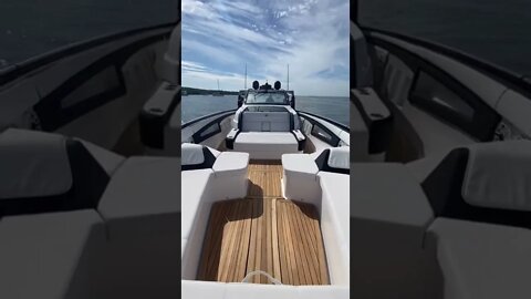 Boats Gone Wild