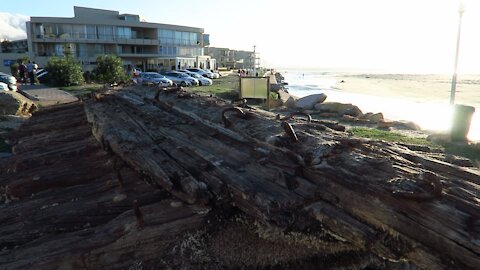 SOUTH AFRICA - Cape Town - Commodore II shipwreck (Video) (QYQ)