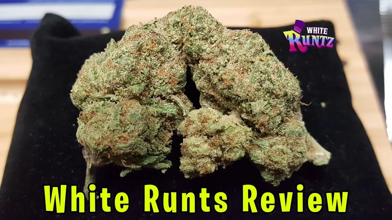 White Runtz Review