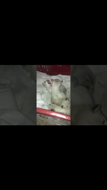 Eu quero dormir 😴