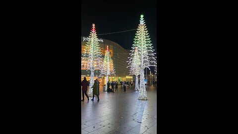 Liverpool 1 Christmas trees