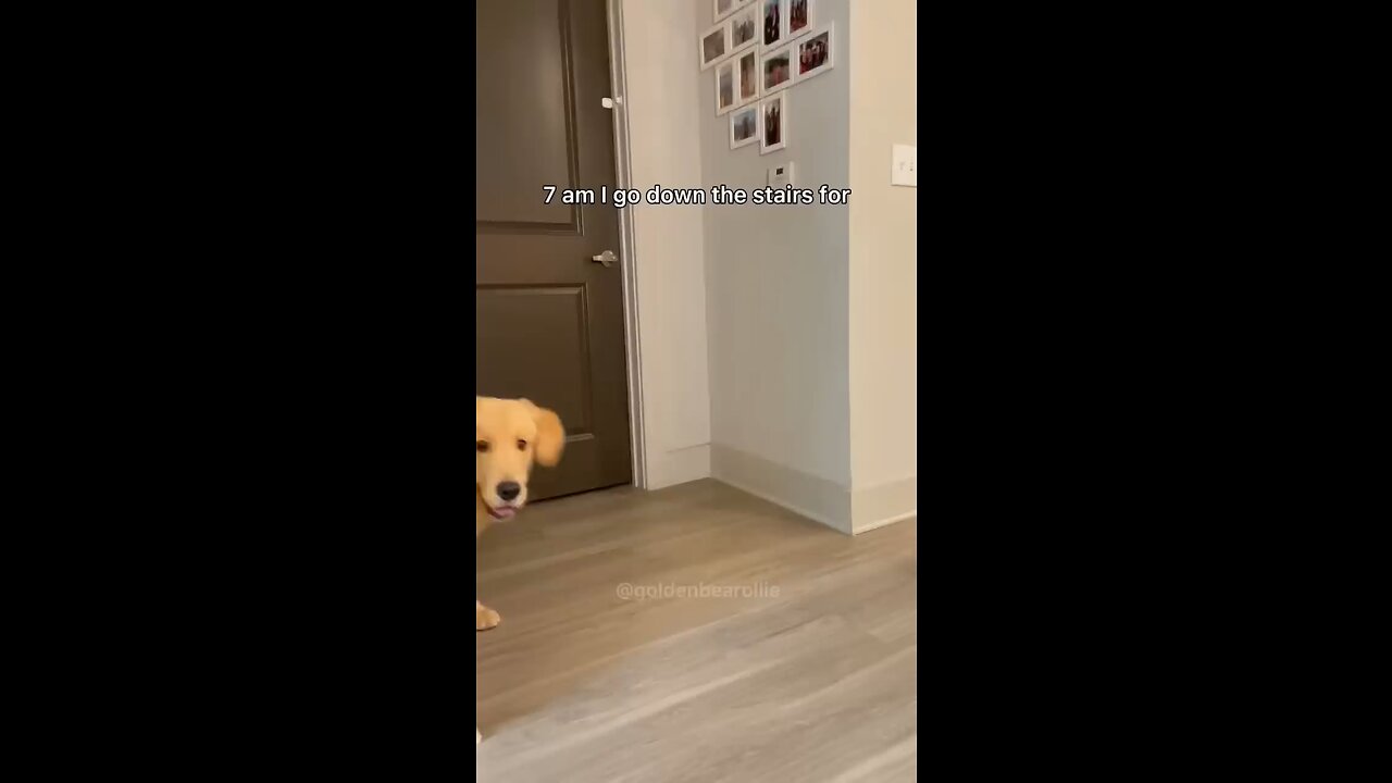 Subscribe my channel 🦅