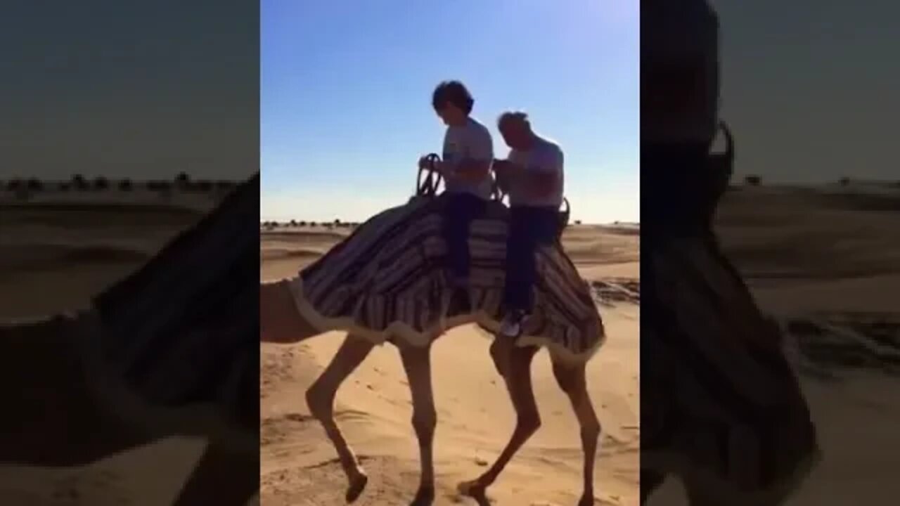 My Parents Experience Dubai - Camel ride