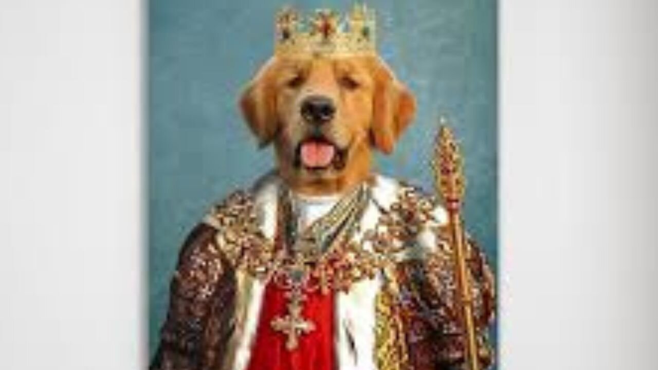 08/21/24 Seg 4 How The Dog Kings Manipulate And Twist "Unity" To Demonize Honest Inquiries