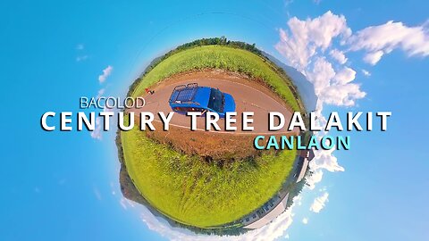 The Oldest Tree in the Philippines - 1328 Years Old | Century Tree Dalakit