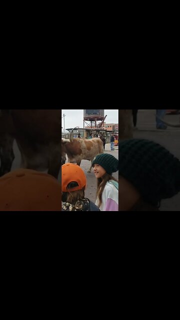 Fort Worth Cattle Drive in Texas🇨🇱