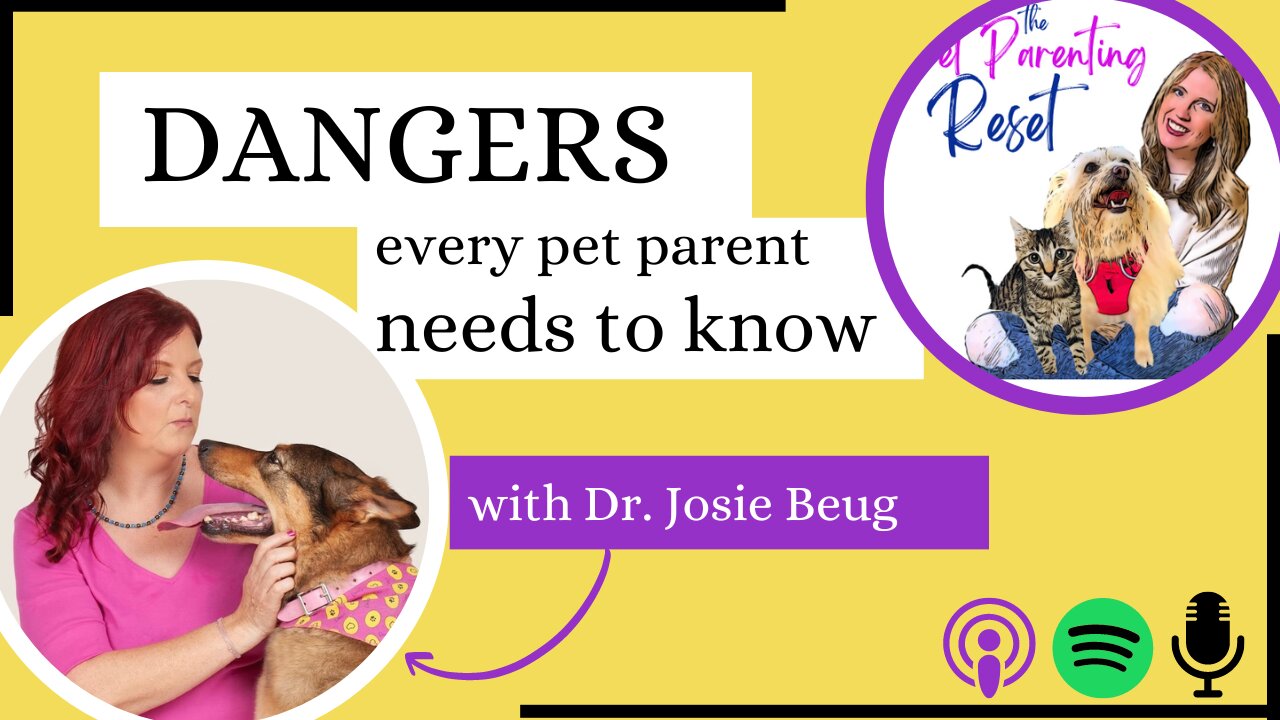 Dangers Every Pet Parent Needs To Know ft Dr Josie Beug