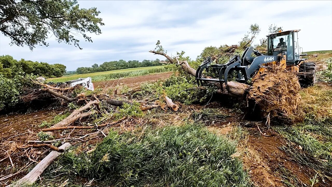 Grove Removal Underway!!