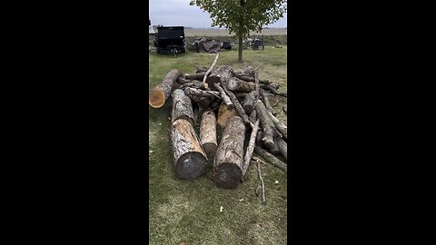 Load of logs delivered.