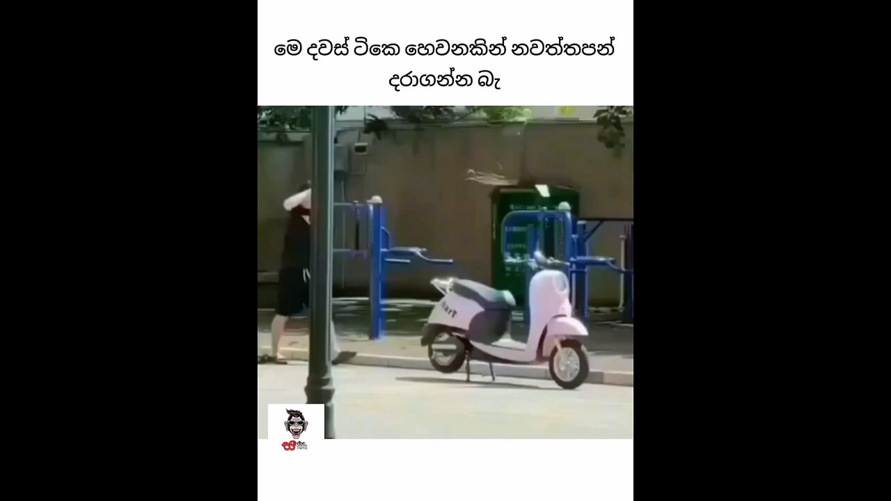 Funny videos