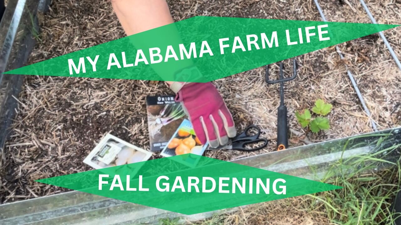 What seeds did we plant in our raised beds? Fall Gardening!