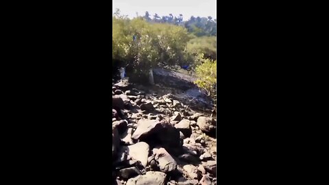 palke jhuki hai