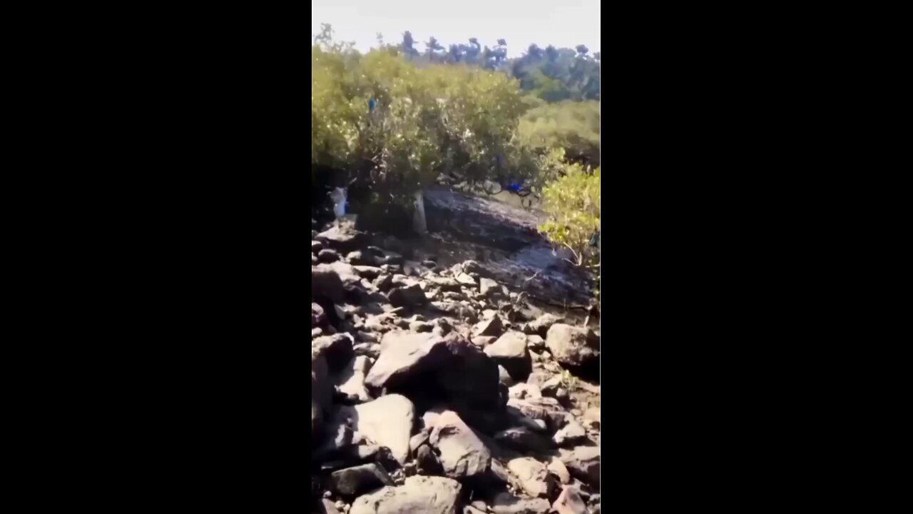 palke jhuki hai