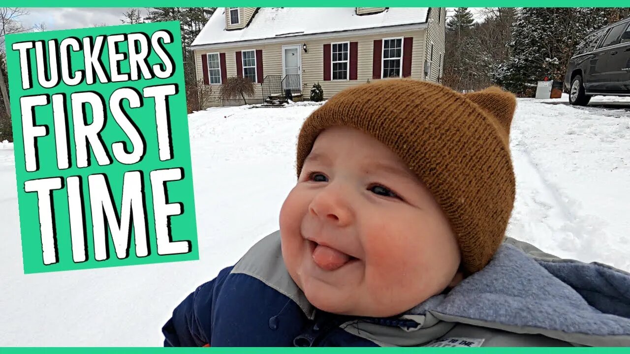 Making The Best out of Winter ||👍 for the Adorable Tucker||