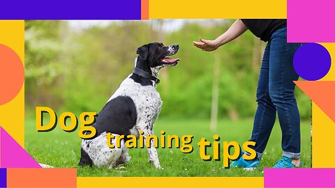 Puppy training tips!