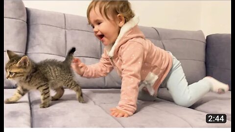 Cute baby mets new baby kitten for the first time cute cat🐈🐈🐈