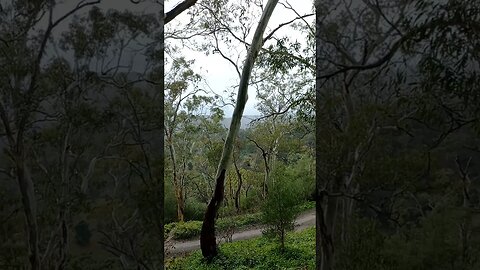 Beautiful Adelaide Hills | Intrepids