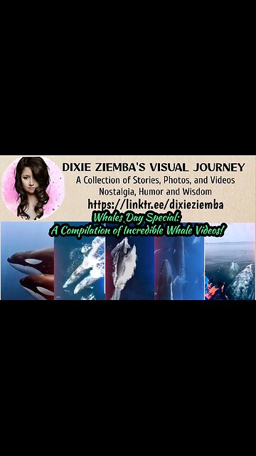 Whales Day Special: A Compilation of Incredible Whale Videos!