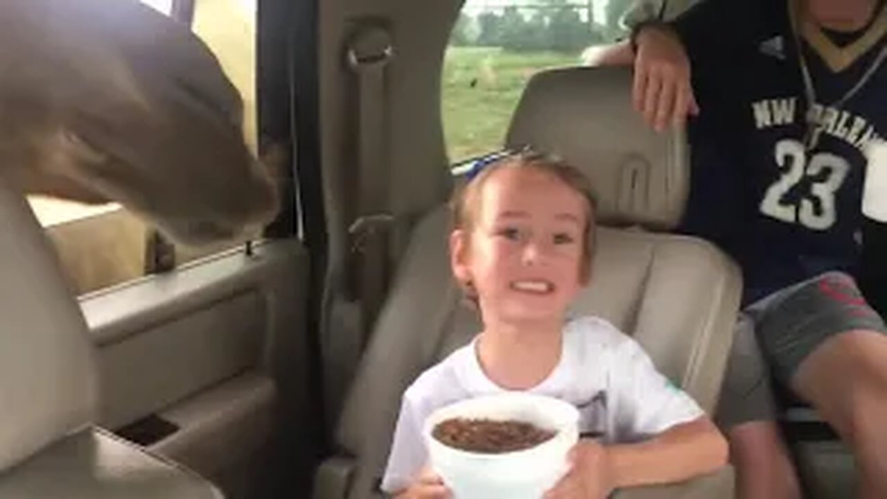 💥Animals Scaring People Reactions Weekly LOL😅😜 of 2019| Funny Animal Videos💥👌