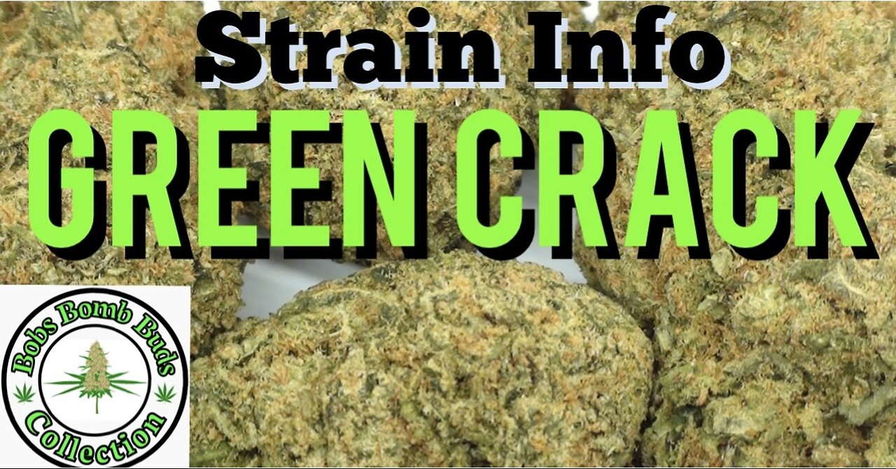 Green Crack! Cannabis Strain Info. Buy Low Green