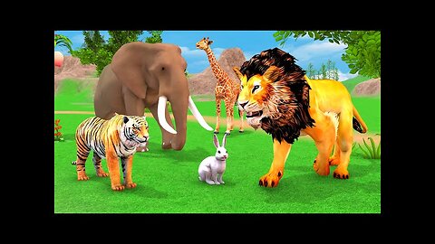 Animal 3D Animation | Kids Animation