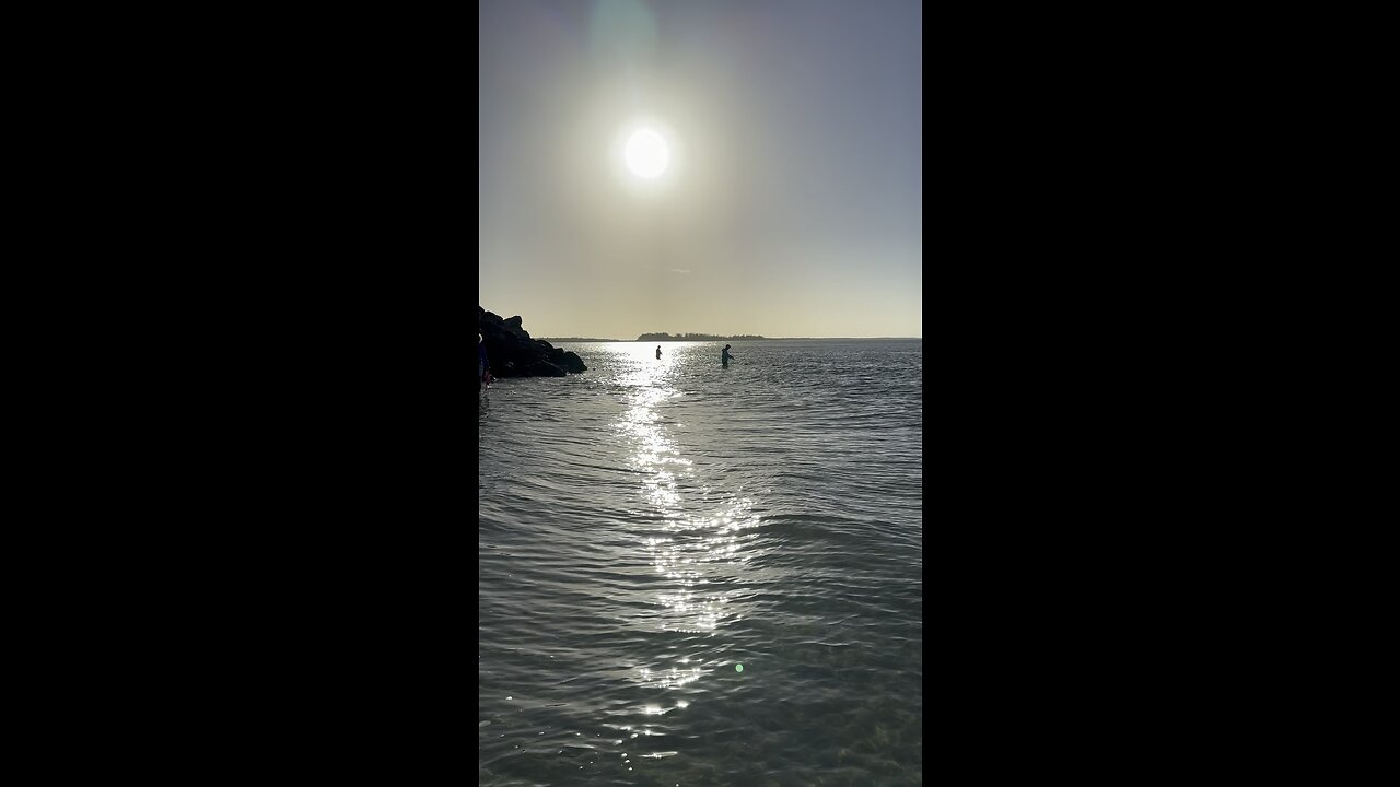 Negative Low Tide Shelling On South Beach #FYP #SouthBeach #Shelling #LowTide #MarcoIsland #4K