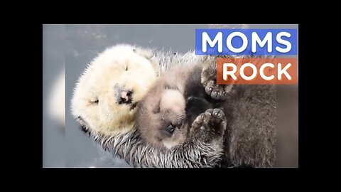 Love of mother with their children 💞 hearts broken 💔💔