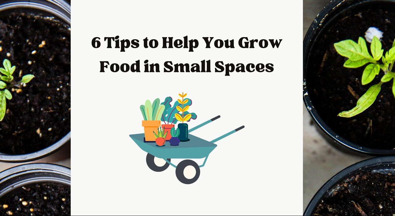 6 tips to help you grow food in small spaces