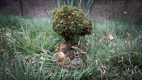 🌳 Crystal Tree Earthcraft 🌳